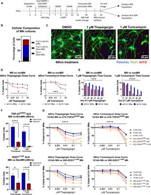 Analyzing the ER stress response in ALS patient derived motor neurons identifies druggable neuroprotective targets
